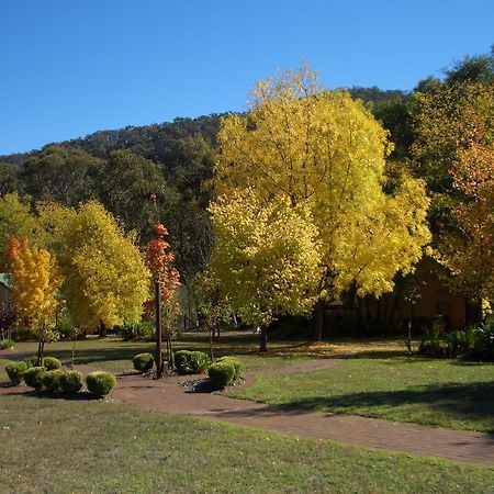 Willowlake Cottages Howqua Εξωτερικό φωτογραφία