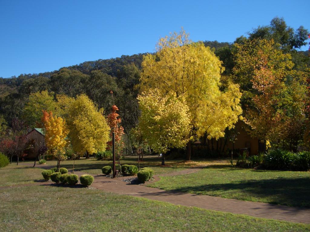 Willowlake Cottages Howqua Εξωτερικό φωτογραφία